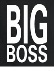 Big boss Big boss